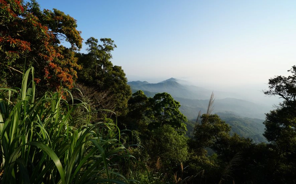 台南大凍山公車