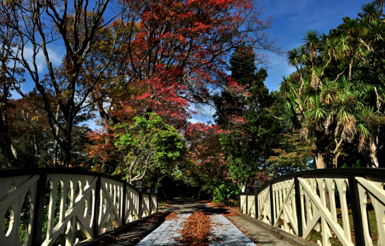 紐西蘭步道推薦