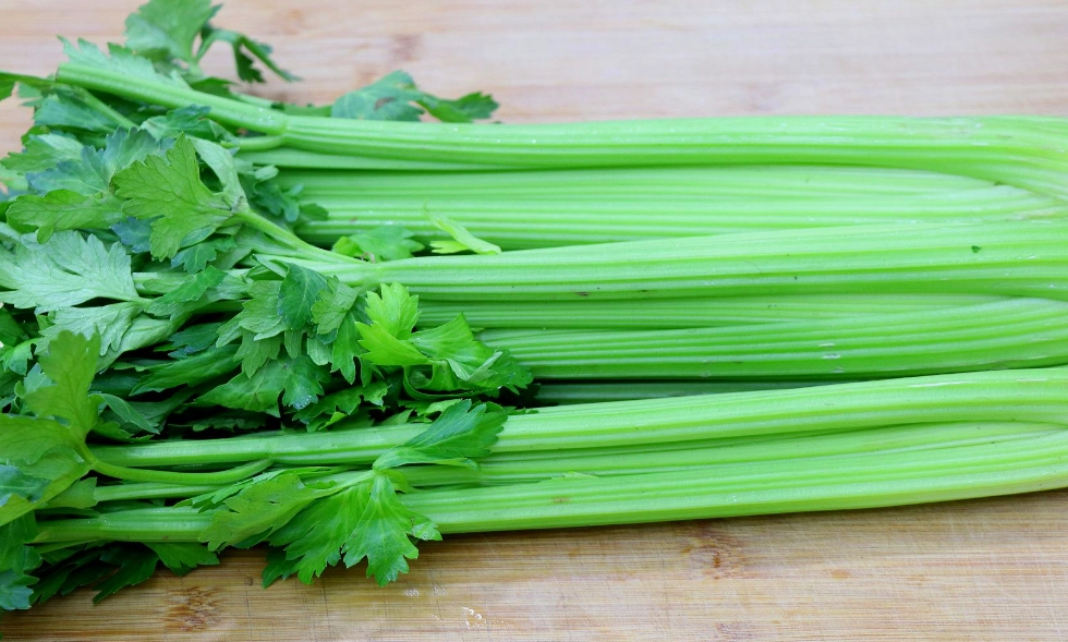 西洋芹營養