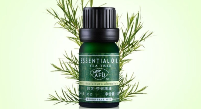 茶樹精油使用技巧