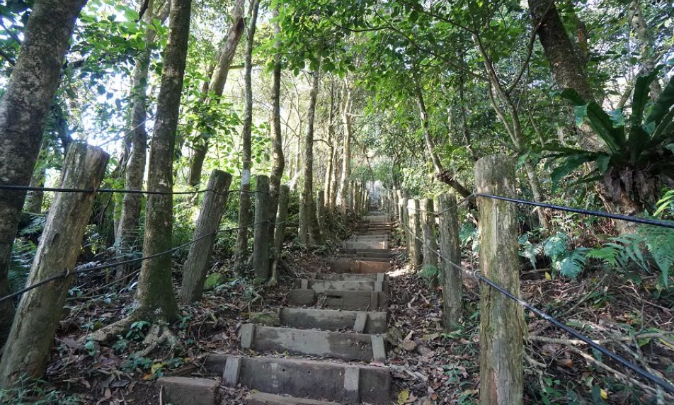 台南大凍山公車