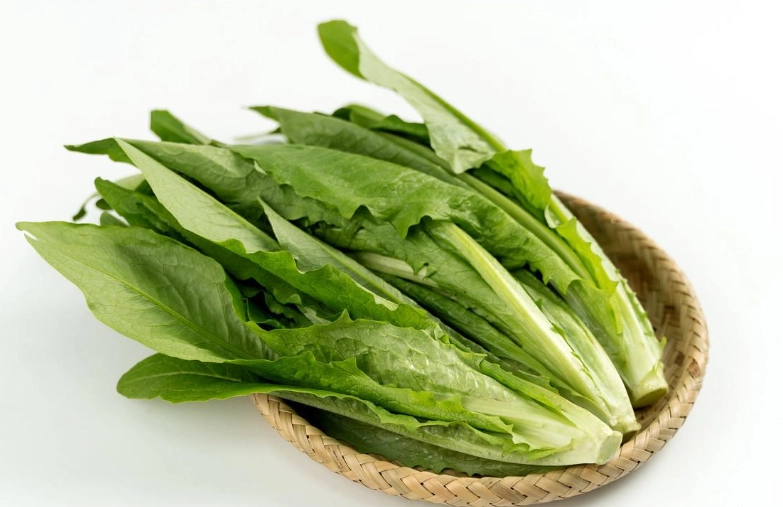 油麥菜食用風險