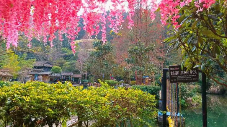 自然探勝園旅遊