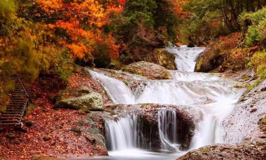 長野縣公共交通