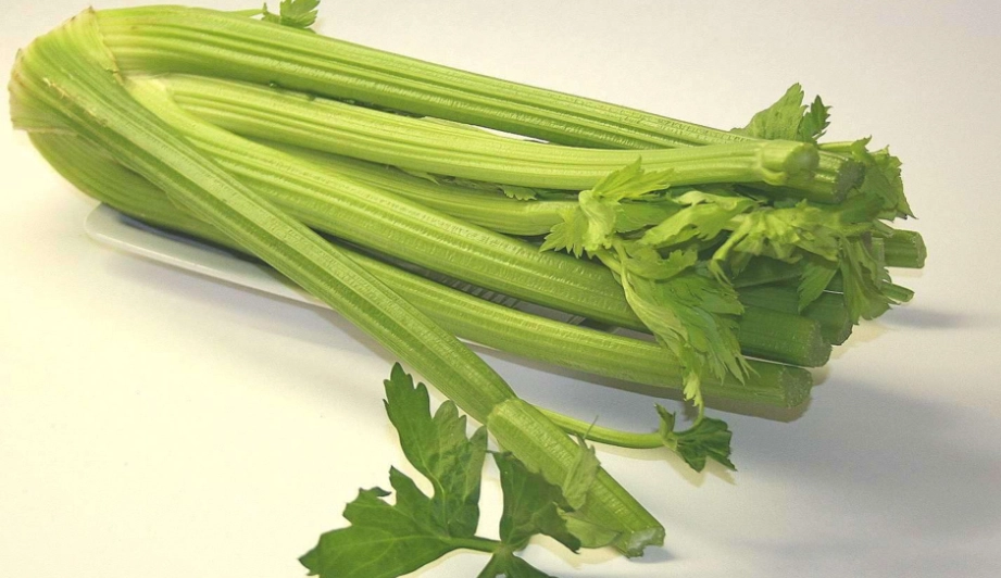 西洋芹健康益處