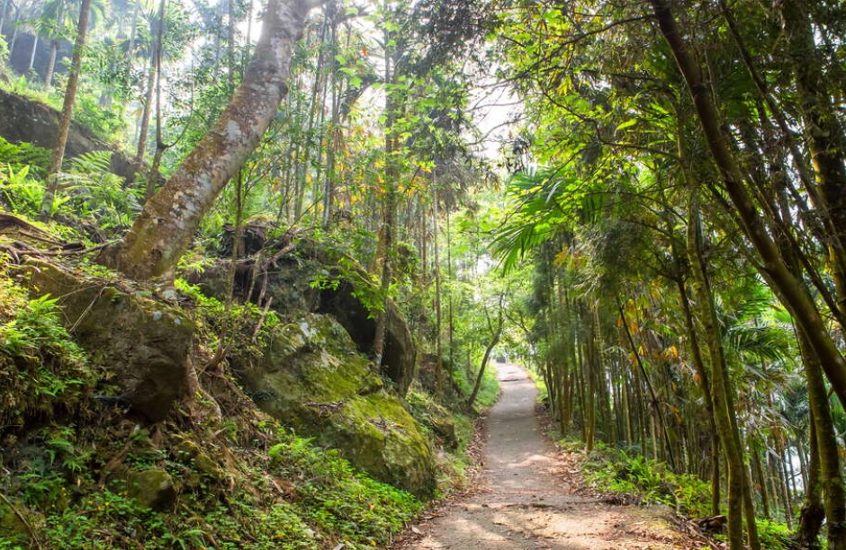 大凍山登山交通