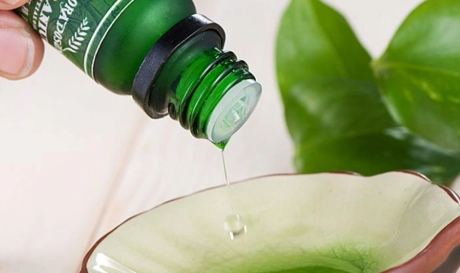 茶樹精油使用方法 茶樹精油使用方法