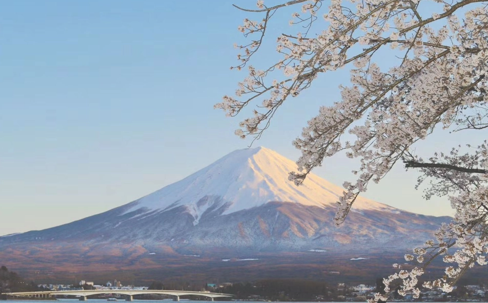 富士山觀賞季節