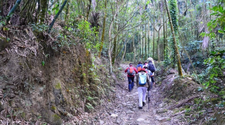 台南登山步道推薦