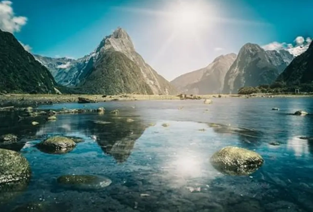 紐西蘭海關物品申報