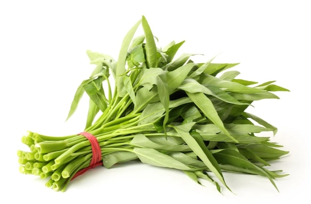 空心菜冷凍方法