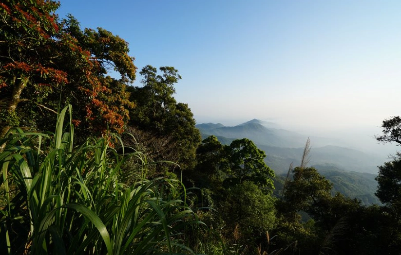 大凍山登山時間