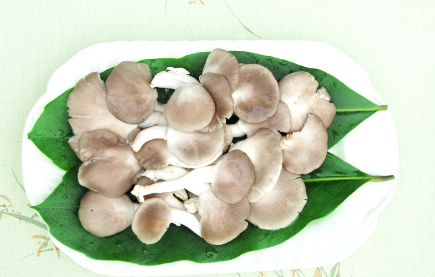 冷凍秀珍菇方法