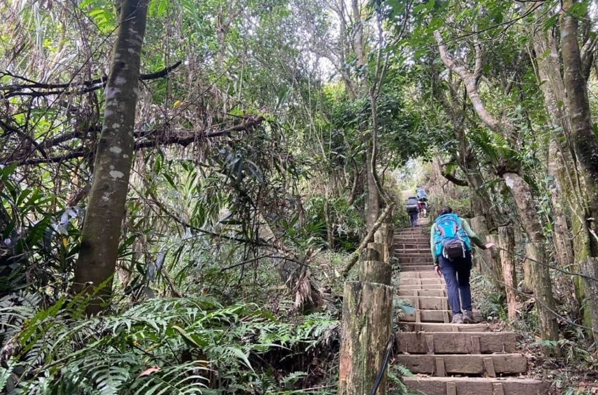 台南大凍山路線