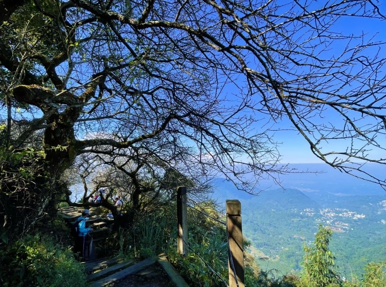 大凍山登山路線