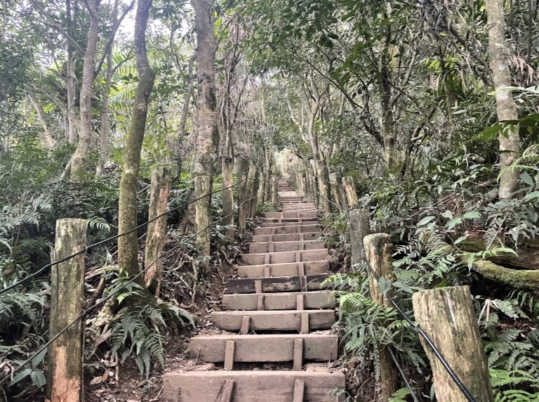 台南大凍山步道攻略