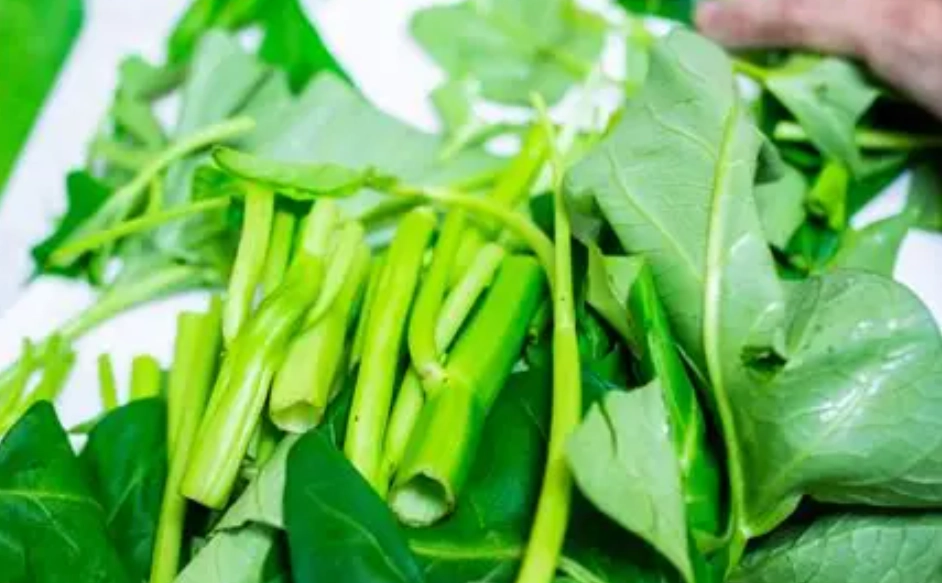 空心菜冷凍方法