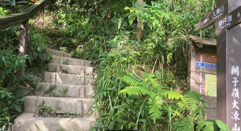 台南大凍山步道攻略