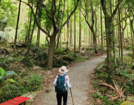 大凍山登山路線