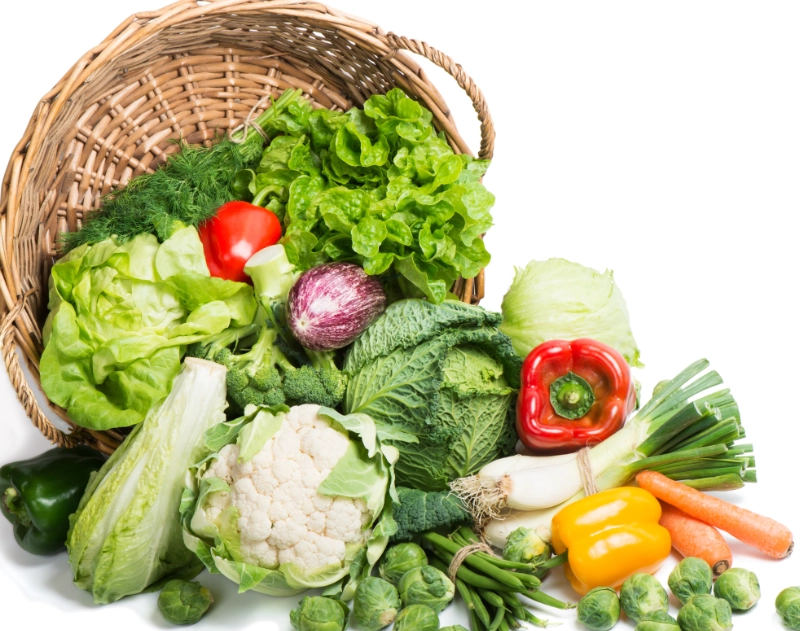 當季蔬菜種植 當季蔬菜種植