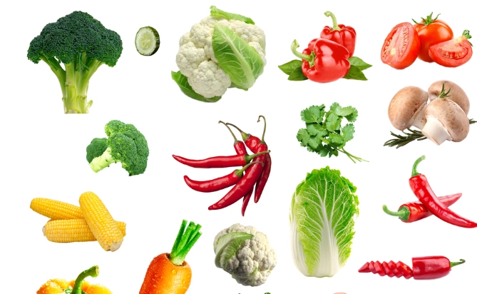 當季蔬菜種植 當季蔬菜種植