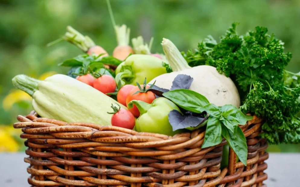 夏季蔬菜料理 夏季蔬菜料理