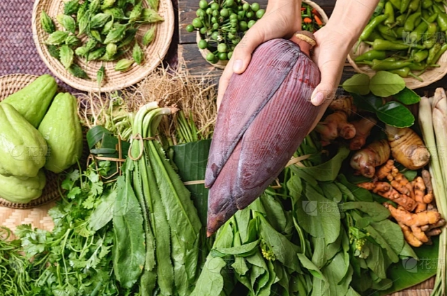 東南亞蔬菜種植 東南亞蔬菜種植