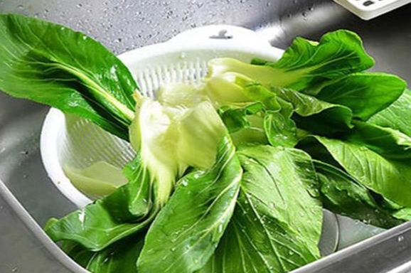 洗菜後保存技巧 洗菜後保存技巧
