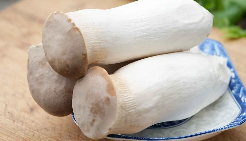 杏鮑菇保存方法