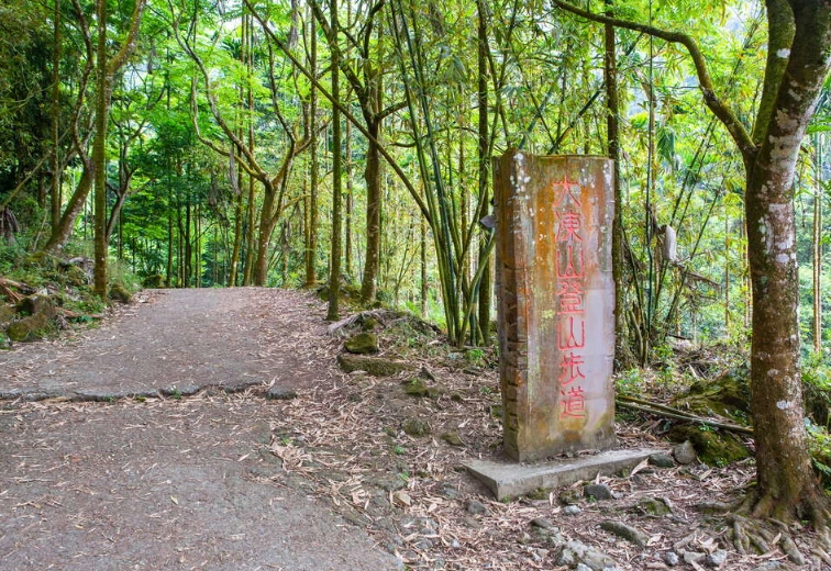 台南大凍山步道攻略