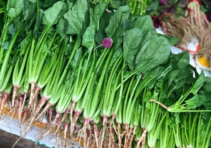 春季蔬菜營養 春季蔬菜營養