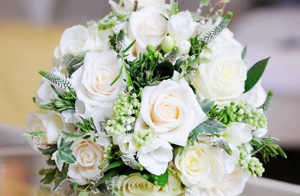 畢業送什麼花 畢業送什麼花