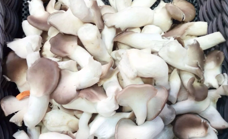 冷凍秀珍菇方法