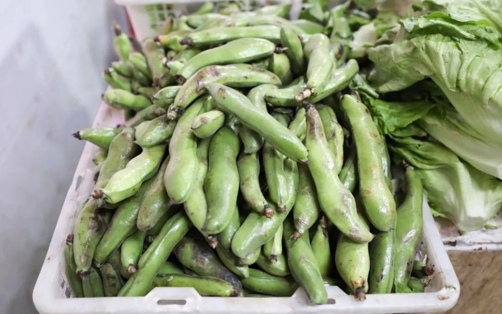 時令蔬菜好處 時令蔬菜好處