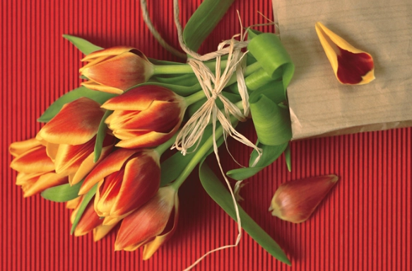 畢業送什麼花 畢業送什麼花