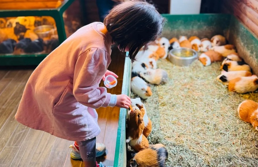 福岡冬季親子景點