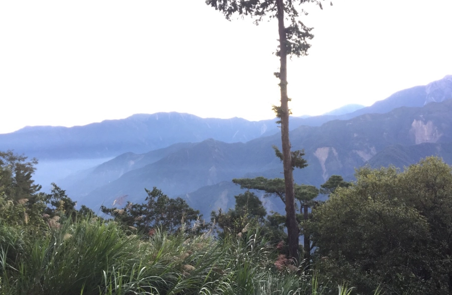 大塔山申請流程