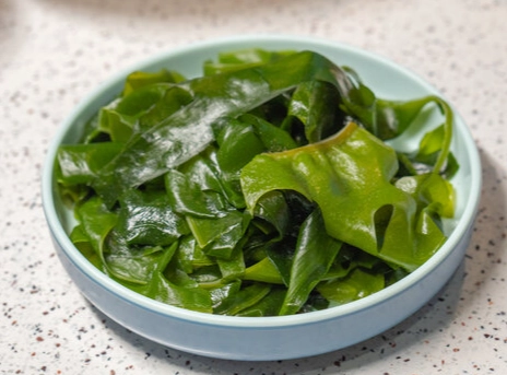 腎臟病飲食 海帶芽 腎臟病飲食 海帶芽