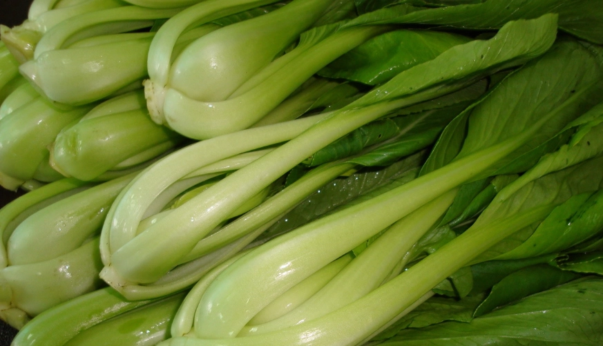 青江菜保存方法