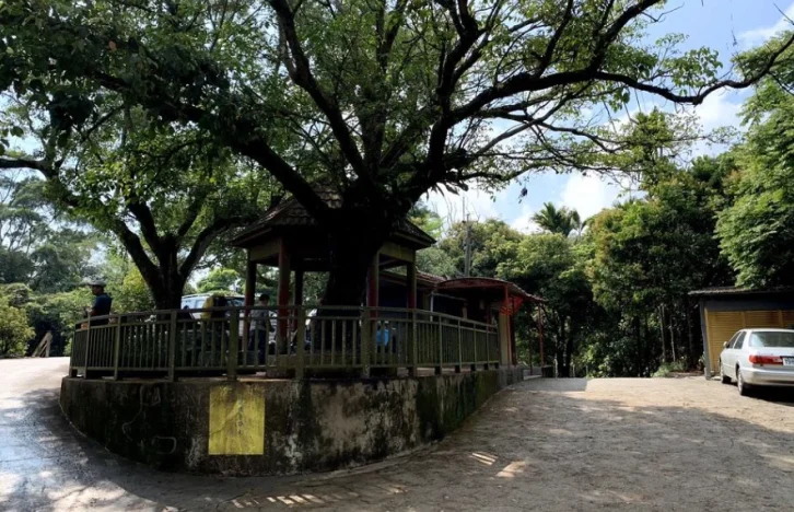 台南大凍山交通