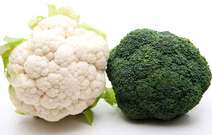 花椰菜不能和什麼一起吃