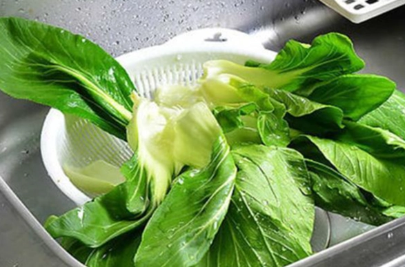 衛福部洗菜指南 衛福部洗菜指南