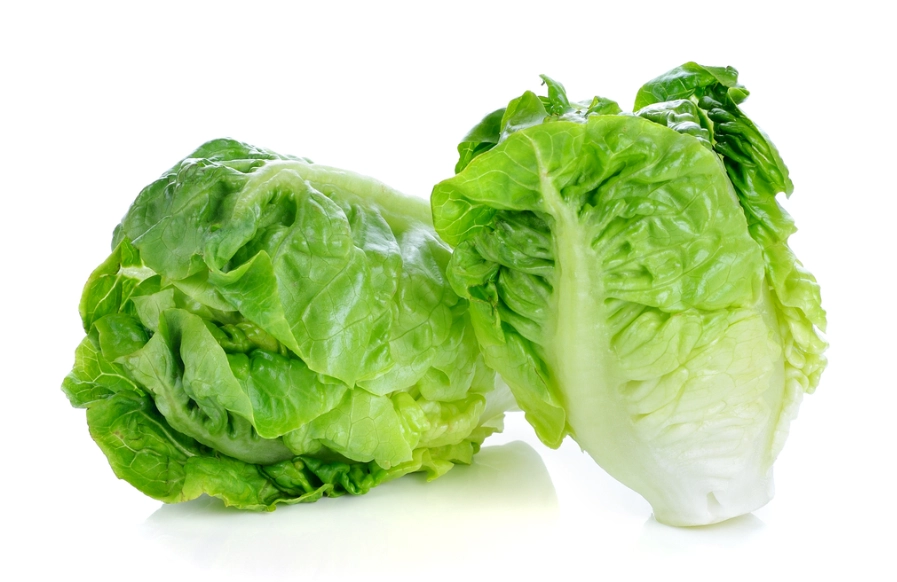 生菜健康風險 生菜健康風險