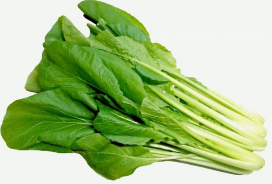 小松菜 是什麼