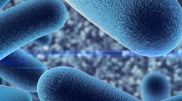 益生菌改善便秘 益生菌改善便秘