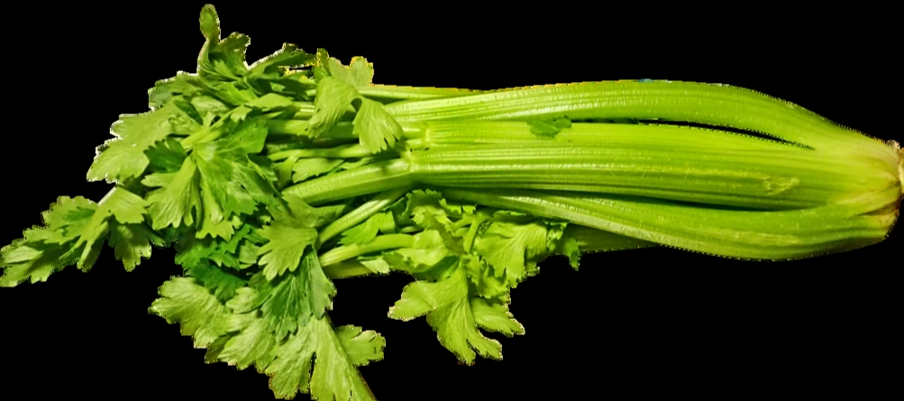 西芹禁忌