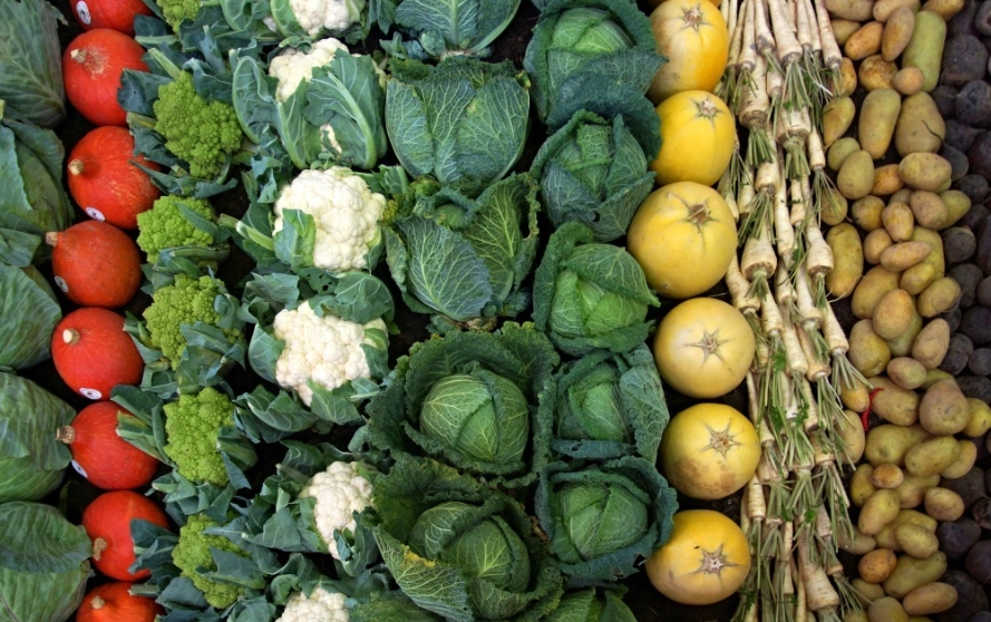 蔬菜分類 蔬菜分類