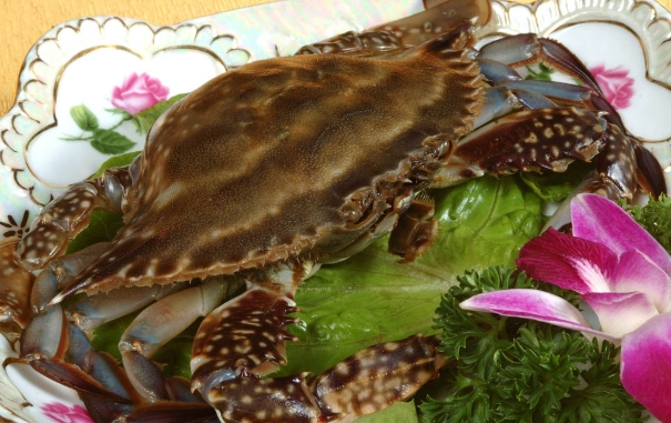 螃蟹吃太多副作用