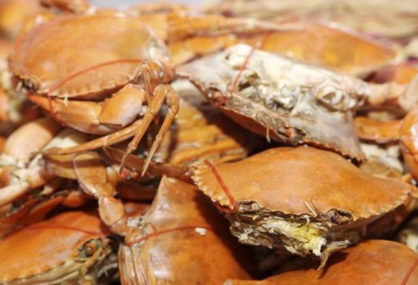 螃蟹飲食禁忌
