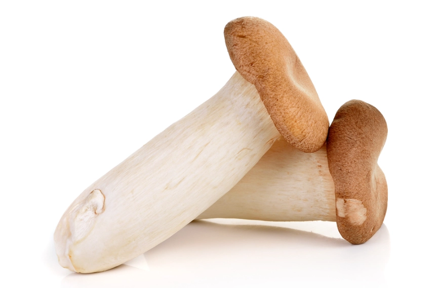 杏鮑菇保存秘訣